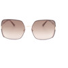 Tom Ford Sunglasses 48F (60/18/135) - (FT1006)