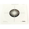 bron.Pl Paper Discs 17x17 Cm 100 pcs. - (3.1717)