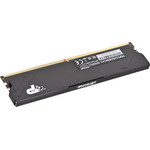 Patriot Premium Black DDR5 12GB 5600MHz Radiator 1RAnk - (PSP512G56041H1)