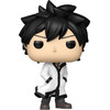 Funko Pop! Animation: Fairy Tail: 100 Years Quest - Gray* #2287 Vinyl Figure