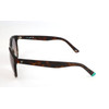 Web Sunglasses 56K (52/19/140) - (WE0146)