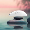 White Shark Wireless Mouse WGM-5021 12000DPi White - (BORS-W)