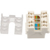 EXTRALINK Keystone CAT6 UTP, RJ45 Connector - (EX.9540)