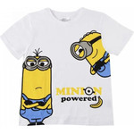 CERDA T-Shirt Minions ��� 6/7 ����