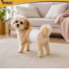Purlov Diapers For Dog Size S-M - (19129-0)
