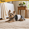 Purlov Diapers For Dog Size S-M - (19129-0)