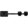 Turtle Av Turtle Dual Xlr Output - two-Channel Dante digital-to-Analogue Xlr Adapter - (2CH Analog Xlr Output)