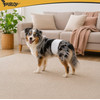 Purlov Dog diapers size M-L - (19130-0)