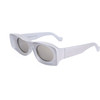 Loewe sunglasses 24C (49/23/145) - (LW40033I)