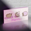 Pyramid ��������� ������ Pusheen Purrito