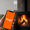 QOLTEC Natural Gas Leak Sensor | CH4 Detector | Ng | Tuya | Wi-Fi | 85dB Alarm | Led - (52651)