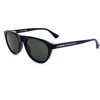 Web Sunglasses 52N (51/19/150) - (WE0377)