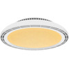 Modee ����������� ������ Led 24W Rgb 3CCt �� ��������������� - (ML-CLRGB-3CCT24W-F1W)
