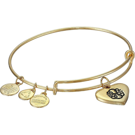 Alex And Ani Bracelet Women (17,5CM ) - (A15EB02YG)