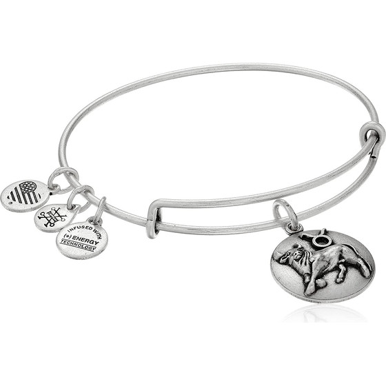 Alex And Ani Bracelet Women (17,5CM ) - (A16EB59RS)