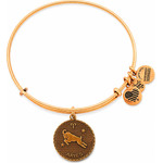 Alex And Ani Bracelet Women (19-25CM ) - (A07EB40ARRG)