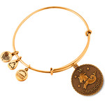 Alex And Ani Bracelet Women (19-25CM ) - (A07EB40CARG)