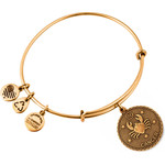 Alex And Ani Bracelet Women (19-25CM ) - (A07EB40CNRG)