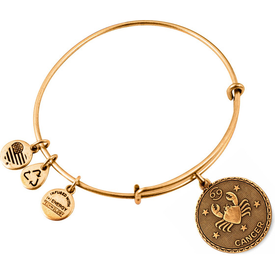 Alex And Ani Bracelet Women (19-25CM ) - (A07EB40CNRG)