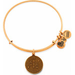 Alex And Ani Bracelet Women (19-25CM ) - (A07EB40LIRG)