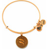 Alex And Ani Bracelet Women (19-25CM ) - (A07EB40PIRG)