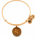 Alex And Ani Bracelet Women (19-25CM ) - (A07EB40PIRG)