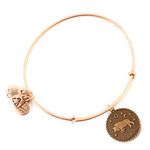 Alex And Ani Bracelet Women (19-25CM ) - (A07EB40TARG)