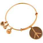 Alex And Ani Bracelet Women (19-25CM ) - (A07EB47RG)