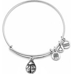 Alex And Ani Bracelet Women (19-25CM ) - (A12EB18RS)