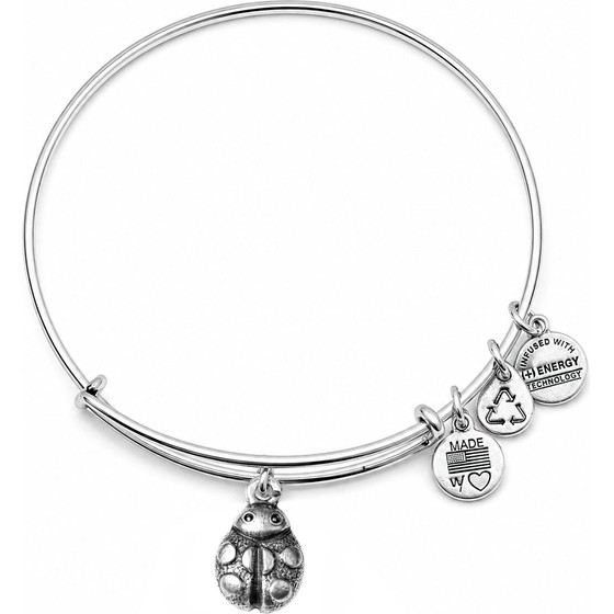 Alex And Ani Bracelet Women (19-25CM ) - (A12EB18RS)