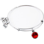Alex And Ani Bracelet Women (19-25CM ) - (A12EB240RS)