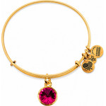 Alex And Ani Bracelet Women (19-25CM ) - (A12EB241RG)