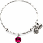 Alex And Ani Bracelet Women (19-25CM ) - (A12EB241RS)