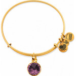 Alex And Ani Bracelet Women (19-25CM ) - (A12EB245RG)