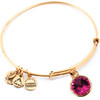 Alex And Ani Bracelet Women (19-25CM ) - (A12EB249RG)