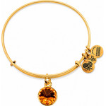 Alex And Ani Bracelet Women (19-25CM ) - (A12EB250RG)