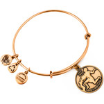 Alex And Ani Bracelet Women (19-25CM ) - (A13EB01AQRG)