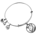 Alex And Ani Bracelet Women (19-25CM ) - (A13EB01ARRS)