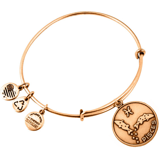 Alex And Ani Bracelet Women (19-25CM ) - (A13EB01PIRG)