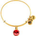 Alex And Ani Bracelet Women (19CM ) - (A19EB40SG)