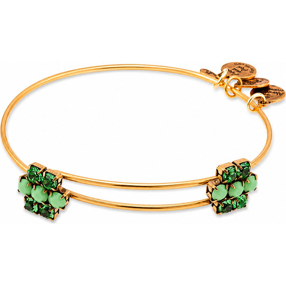Alex And Ani Bracelet Women (20CM ) - (A13EB75RG)