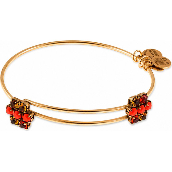 Alex And Ani Bracelet Women (20CM ) - (A13EB77RG)