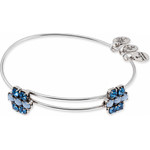Alex And Ani Bracelet Women (20CM ) - (A13EB79RS)