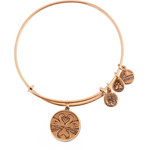 Alex And Ani Bracelet Women (20CM ) - (A14EB01RG)