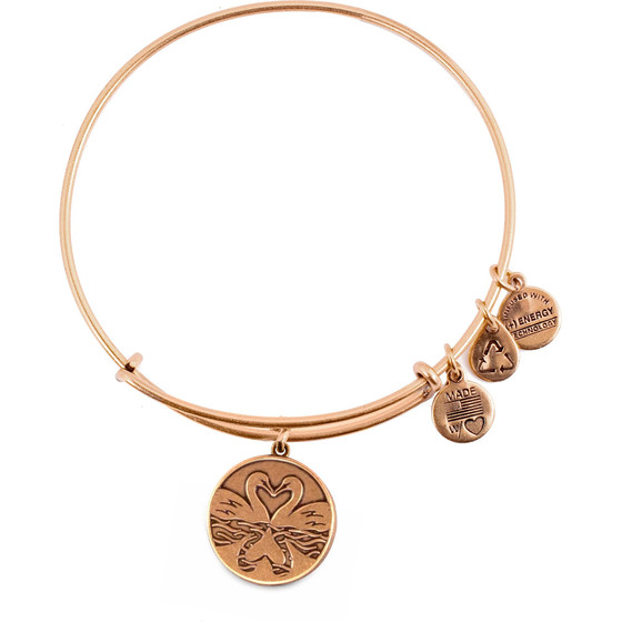 Alex And Ani Bracelet Women (20CM ) - (A14EB01RG)
