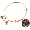 Alex And Ani Bracelet Women (20CM ) - (A14EB22RG)