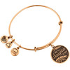 Alex And Ani Bracelet Women (20CM ) - (A14EB24RG)