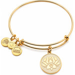 Alex And Ani Bracelet Women (20CM ) - (A14EB54YG)