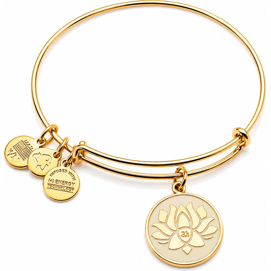Alex And Ani Bracelet Women (20CM ) - (A14EB54YG)