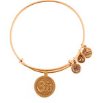 Alex And Ani Bracelet Women (20CM ) - (A14EB70RG)